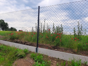 Čtyřhranné pletivo s podhrabovou deskou, antracit RAL 7016_4